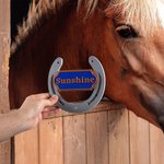 Personalizado Multicolor Clásico 3D de impresión en forma de herradura Establo Nombre de la placa Puerta Granero Granja Accesorio Regalo para los amantes del caballo Propietario