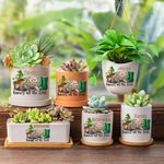 Personalisierte Know All the Dirt Floral Name Keramik Pflanzgefäß mit Loch Drainage und hölzerne Basis Home Decor Muttertag Geschenk für Mama Oma