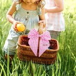 Personalized Cotton Easter Eggs Peter Rabbit Plaid Easter Basket Bow with Embroidered Monogram Easter Gift for Kids