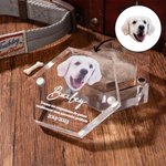 Boîte Commémorative Magnétiques Personnalisée avec Photo et Nom Ailes d'Ange Cadeau Perte d'Animaux pour Amoureux des Animaux