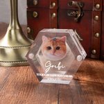 Boîte Commémorative Magnétiques Personnalisée avec Photo et Nom Ailes d'Ange Cadeau Perte d'Animaux pour Amoureux des Animaux