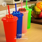 Personalizado 3D Impreso Multicolor 2-3 Letras Griegas Pajita Decoración Bebida Fiesta Cumpleaños Regalo para Hermanas | Callie × Affinity Licensing