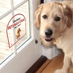 Personalizado Mantenga la puerta cerrada 1-4 Mascotas de dibujos animados 3D Impermeable Ventana Puerta Calcomanía con nombre Cumpleaños inauguración de la casa Regalo para los amantes del perro gato