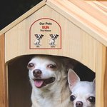 Personalizado Mantenga la puerta cerrada 1-4 Mascotas de dibujos animados 3D Impermeable Ventana Puerta Calcomanía con nombre Cumpleaños inauguración de la casa Regalo para los amantes del perro gato