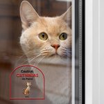 Personalizado Mantenga la puerta cerrada 1-4 Mascotas de dibujos animados 3D Impermeable Ventana Puerta Calcomanía con nombre Cumpleaños inauguración de la casa Regalo para los amantes del perro gato
