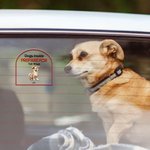 Personalizado Mantenga la puerta cerrada 1-4 Mascotas de dibujos animados 3D Impermeable Ventana Puerta Calcomanía con nombre Cumpleaños inauguración de la casa Regalo para los amantes del perro gato