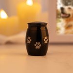 Personalizado Paw Print Pet Avatar Foto Mini Cenizas Urna con Nombre y Texto Cremación Memorial Simpatía Regalo para la Pérdida de Gato Perro