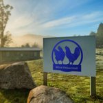 Personalisiertes Metall Hühnerstall Bauernhof Schild mit Hühner-Muster und Text Retro Kunst Wanddeko Geschenk für Bauernhofbesitzer