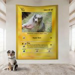 Personalized Cute Pokepet Card Soft Throw Blanket with Photo and Name Home Decor Father's Day Christmas Birthday Gift for Family Couple