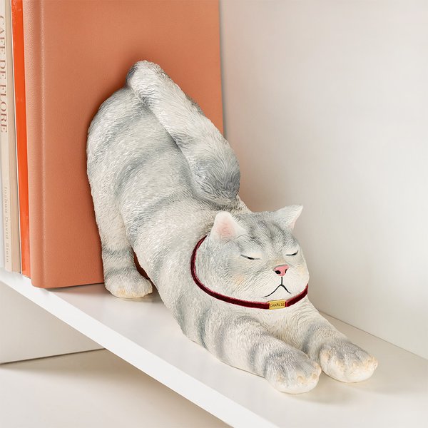 Henkilökohtainen Söpö Lazy Cat liukumaton Bookend kanssa nimi Desk Kirjahylly Decor Syntymäpäivälahja Bookworms Cat Lovers