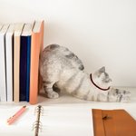 Gepersonaliseerde Schattige Luie Kat Antislip Boekensteun met Naam Bureau Boekenplank Decor Verjaardagscadeau voor Boekenwurmen Kattenliefhebbers