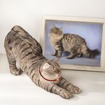 Gepersonaliseerde Schattige Luie Kat Antislip Boekensteun met Naam Bureau Boekenplank Decor Verjaardagscadeau voor Boekenwurmen Kattenliefhebbers