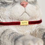 Gepersonaliseerde Schattige Luie Kat Antislip Boekensteun met Naam Bureau Boekenplank Decor Verjaardagscadeau voor Boekenwurmen Kattenliefhebbers