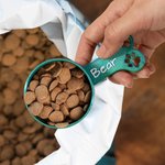 Personalized Multicolor Paw Print Bone Design Dog Food Scoop with Name Pet Accessory Birthday New Puppy Gift for Dog Owners