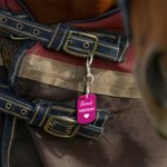 Personalized Multicolor Horseshoe Snowflake Icon Name ID Horse Blanket Tag with Snap Clip  Horse Harness Decor Birthday Gift for Horse Owners