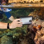 Personalized Waterproof Transparent Phone Pouch with Name and Detachable Lanyard Outdoor Sports Water Activities Accessories for Family Friend