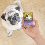 Carta TCG divertente personalizzata con foto e custodia protettiva gioco di carte collezionabile regalo per coppie bambini e amanti degli animali