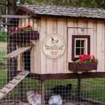 Cartel de madera personalizado con encanto rural y texto del gallinero decoración de granja regalo de inauguración para agricultores