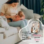 Personalized Cute Penguin Mother and Baby Heart-shape Acrylic Plaque with Name and Year Desk Decor 1st Mother's Day Anniversary Gift for New Mom