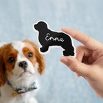 Personalized Acrylic Dog Cat Pet Silhouette Name Bag Button Charm Accessories for Bogg Birthday Beach Gift for Pet Owner Lover