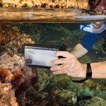 Personalized Birth Flower Waterproof Sealing Phone Pouch with Name and Detachable Lanyard Beach Vacation Birthday Gift for Friend Water Sports Lover