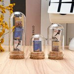 Personalised 1-3 Mini Book Display Glass Dome Cloche with Cork Base Desk Bookshelf Decor Birthday Book Club Gift for Book Lovers Readers