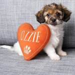Giocattolo di peluche a forma di cuore personalizzato con stampa a zampa di cane, nome ricamato e squittio, accessori interattivi, regalo di compleanno per gli amanti dei cani