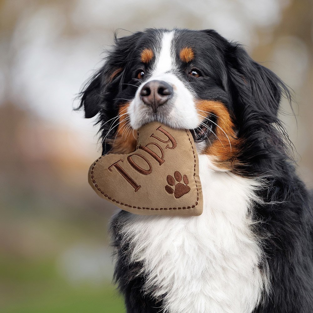 Giocattolo di peluche a forma di cuore personalizzato con stampa a zampa di cane, nome ricamato e squittio