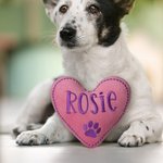 Giocattolo di peluche a forma di cuore personalizzato con stampa a zampa di cane, nome ricamato e squittio, accessori interattivi, regalo di compleanno per gli amanti dei cani