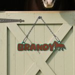 Personalisierte Multicolor 3D gedruckt Pferd Name Platte Pferd Stall Dekor Geburtstagsgeschenk für Pferdeliebhaber Besitzer