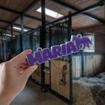 Personalisierte Multicolor 3D gedruckt Pferd Name Platte Pferd Stall Dekor Geburtstagsgeschenk für Pferdeliebhaber Besitzer