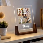 Personalized 1-5 Photos Acrylic LED Night Light with Wooden Base Name and Text Home Decor Birthday Anniversary Gift for Pet Owner