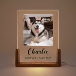 Personalized 1-5 Photos Acrylic LED Night Light with Wooden Base Name and Text Home Decor Birthday Anniversary Gift for Pet Owner