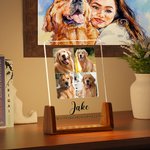 Personalized 1-5 Photos Acrylic LED Night Light with Wooden Base Name and Text Home Decor Birthday Anniversary Gift for Pet Owner