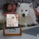 Personalized 1-5 Photos Acrylic LED Night Light with Wooden Base Name and Text Home Decor Birthday Anniversary Gift for Pet Owner