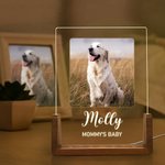 Personalized 1-5 Photos Acrylic LED Night Light with Wooden Base Name and Text Home Decor Birthday Anniversary Gift for Pet Owner
