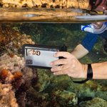 Personalized Summer Beach Cartoon Character Waterproof Phone Pouch with Name and Lanyard Water Activities Accessories Birthday Gift for Family Friends