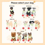 Personalized My Dog Ate My Lesson Plan 1-3 Pet Photos Ceramic Coffee Mug with Names Teacher's Day Birthday Gift for Teachers Dog Lovers