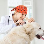 Personalized Multicolor Bone Paw Heart Face Photos Adjustable Tieback Scrub Cap Appreciation Birthday Gift for Nurse Doctor Veterinarian