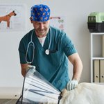 Personalized Multicolor Bone Paw Heart Face Photos Adjustable Tieback Scrub Cap Appreciation Birthday Gift for Nurse Doctor Veterinarian