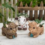 Personalized Mini Highland Cow Dairy Cow Succulent Planter Pot with Name Ear Tag and Drainage Home Decor Birthday Gift for Family Friend