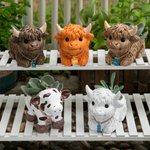 Personalized Mini Highland Cow Dairy Cow Succulent Planter Pot with Name Ear Tag and Drainage Home Decor Birthday Gift for Family Friend