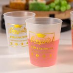 Bicchieri di laurea personalizzati smerigliati da 355ml con nome e testo set di 10 regalo ideale per feste di laurea per classi di laurea 2025