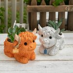 Personalized Mini Highland Cow Dairy Cow Succulent Planter Pot with Name Ear Tag and Drainage Home Decor Birthday Gift for Family Friend