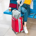 Borsa impermeabile personalizzata scomparto scarpe con nome fiore di nascita e personaggio cartone animato regalo di compleanno per donne e ragazze