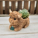 Personalized Mini Highland Cow Dairy Cow Succulent Planter Pot with Name Ear Tag and Drainage Home Decor Birthday Gift for Family Friend