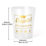 Bicchieri di laurea personalizzati smerigliati da 355ml con nome e testo set di 10 regalo ideale per feste di laurea per classi di laurea 2025