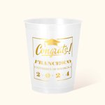 Bicchieri di laurea personalizzati smerigliati da 355ml con nome e testo set di 10 regalo ideale per feste di laurea per classi di laurea 2025