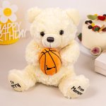 Personalised Sports Ball Cute Bear Soft Stuffed Plush Toy with Texts Valentine’s Day Birthday Gift for Boys Girls Sports Lovers
