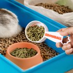 Personalised Multicolour Ears Rabbit Food Scoop with Name Pet Accessory Birthday Bunny Gift for Rabbit Owner